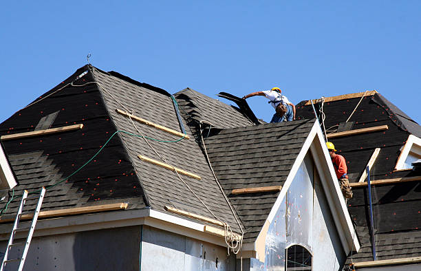 Best Roof Maintenance and Cleaning  in Woodbine, GA